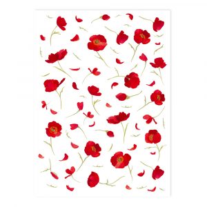 Patrón de flores de amapola roja dispersos y pétalos sobre un fondo blanco.