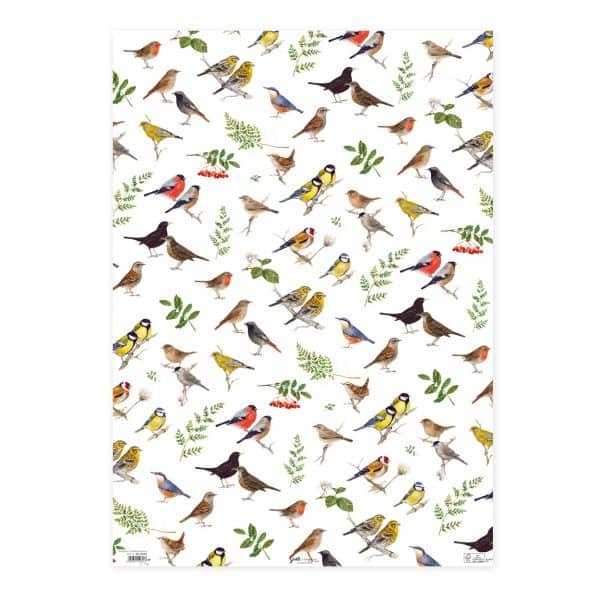 Ilustración estampada de varias especies de aves posadas en ramas con hojas y bayas sobre un fondo blanco.