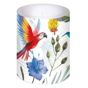 Vela decorativa con diseño tropical pintado que presenta un loro, un colibrí, flores y hojas.