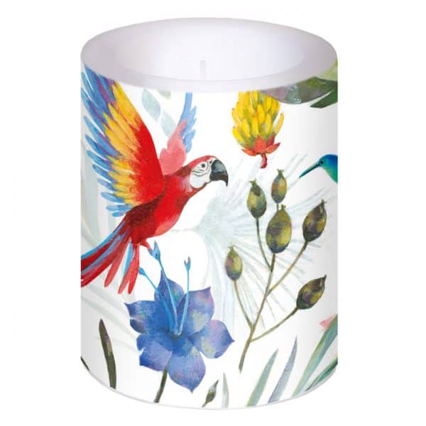 Vela decorativa con diseño tropical pintado que presenta un loro, un colibrí, flores y hojas.
