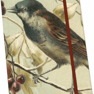 Cubierta de cuaderno ilustrada que presenta un pájaro posado en una rama con hojas y bayas, asegurada con una banda elástica marrón.