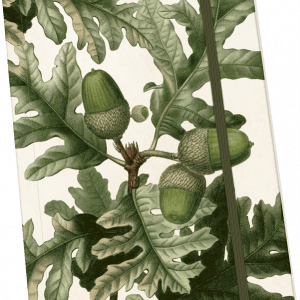 Ilustración de hojas de roble y bellotas en la portada de un diario con una banda elástica marrón.