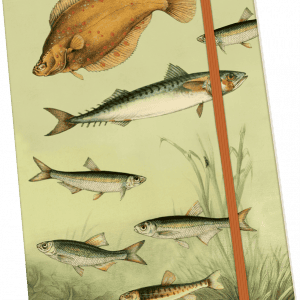 Ilustración de varias especies de peces en una cubierta de cuaderno con cierre de banda elástica sobre un fondo verde claro.