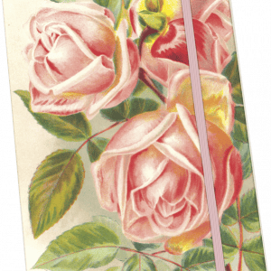 Un cuaderno con una cubierta ilustrada con rosas rosadas y hojas verdes, asegurado con una banda elástica rosa.