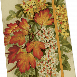 Cuaderno con cubierta floral vintage, con flores rojas y blancas con hojas verdes, asegurado por una banda elástica naranja.