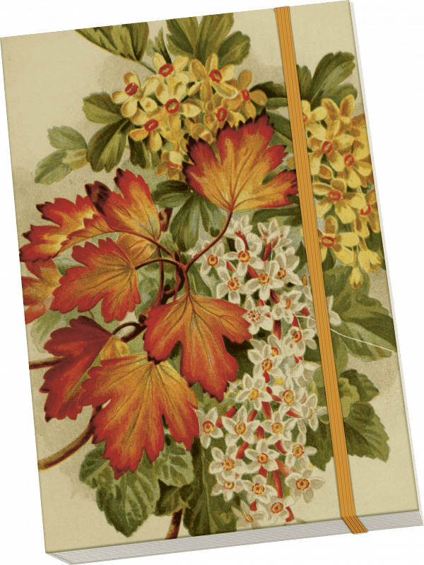 Cuaderno con cubierta floral vintage, con flores rojas y blancas con hojas verdes, asegurado por una banda elástica naranja.