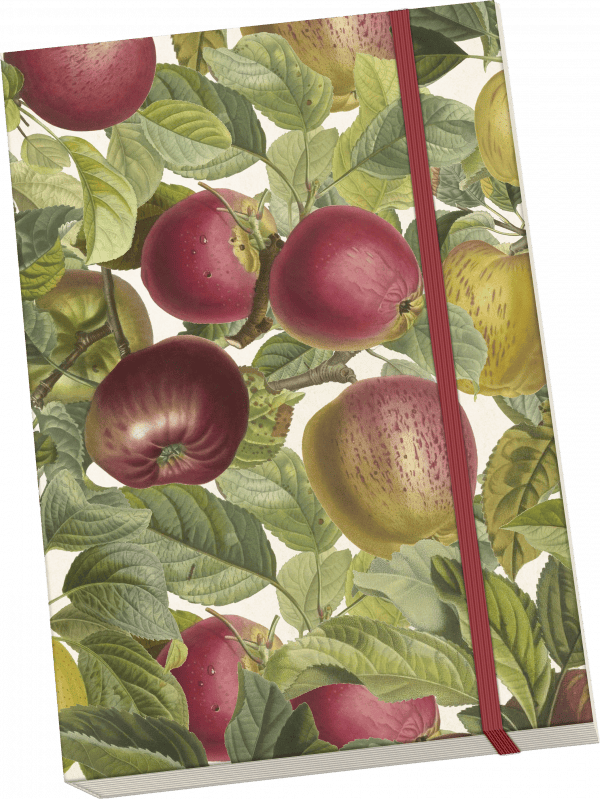 notebook manzanas
