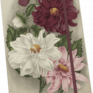Cubierta de cuaderno ilustrada con grandes flores rojas, blancas y rosas con hojas verdes y una banda elástica marrón.