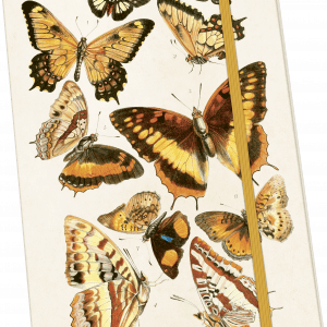 Ilustración de varias mariposas sobre una cubierta de cuaderno con cierre de banda elástica.