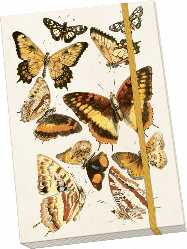 Ilustración de varias mariposas sobre una cubierta de cuaderno con cierre de banda elástica.