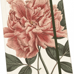 Un cuaderno con una ilustración de estilo vintage de una gran peonía rosa y hojas verdes en la cubierta, asegurado con una banda elástica.