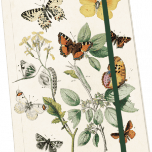 Portada de cuaderno ilustrada con varias mariposas y plantas.