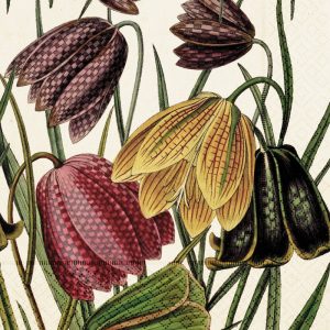 Ilustración de varias flores de fritillaria, con flores en forma de campana de color púrpura, amarillo y verde con patrones a cuadros y delgadas hojas verdes.
