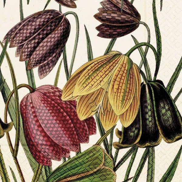 Ilustración de varias flores de fritillaria, con flores en forma de campana de color púrpura, amarillo y verde con patrones a cuadros y delgadas hojas verdes.