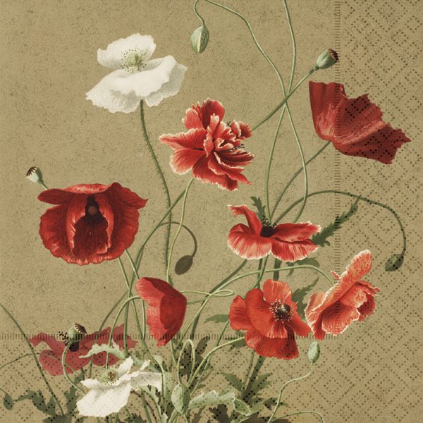 Una ilustración detallada de flores rojas y blancas sobre un fondo texturizado, con amapolas con tallos y hojas verdes.