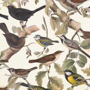 Ilustración de varias aves posadas en ramas con hojas verdes, presentando diferentes especies y colores sobre un fondo claro.