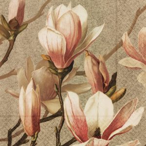Ilustración de estilo vintage de flores de magnolia rosas y blancas con pétalos y ramas detallados sobre un fondo texturizado.