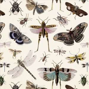Collage ilustrado de varios insectos, incluidas polillas, mariposas, hormigas, saltamontes y libélulas, sobre un fondo claro.