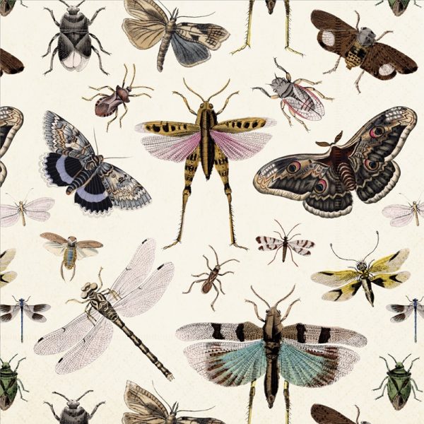 Collage ilustrado de varios insectos, incluidas polillas, mariposas, hormigas, saltamontes y libélulas, sobre un fondo claro.