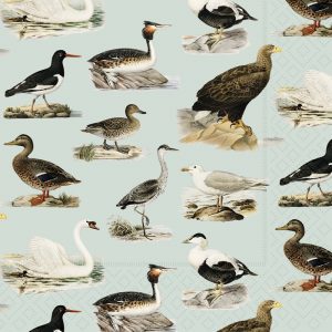 Ilustración de varias especies de aves, incluidos patos, un cisne y gaviotas, sobre un fondo claro.