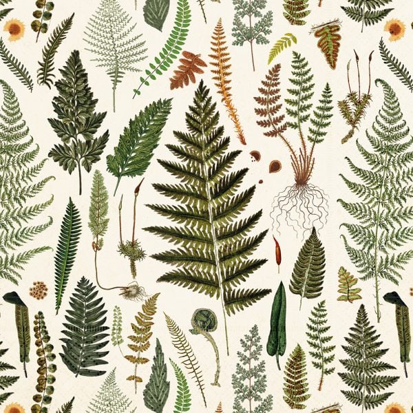 Ilustración de varias especies de helechos y otras plantas con patrones de hojas intrincados sobre un fondo claro.