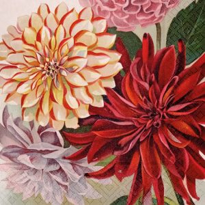Una ilustración vibrante de dalias en tonos de rojo, amarillo y rosa, rodeadas de hojas verdes.