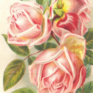 Un racimo de rosas rosadas con hojas verdes sobre un fondo claro.