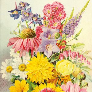 Un ramo vibrante de varias flores, que incluyen margaritas, rosas, equináceas y delfinios, dispuestas sobre un fondo claro.