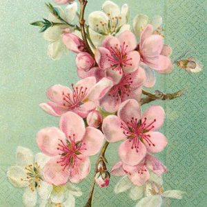 Ilustración de una rama con flores de cerezo rosas y blancas sobre un fondo verde claro.