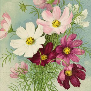 Ilustración de varias flores cosmos en blanco, rosa y rojo intenso, con follaje verde sobre un fondo con un patrón sutil.