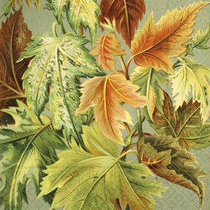 Hojas de otoño ilustradas en varios tonos de verde, naranja y marrón se superponen sobre un fondo sutil y texturizado.
