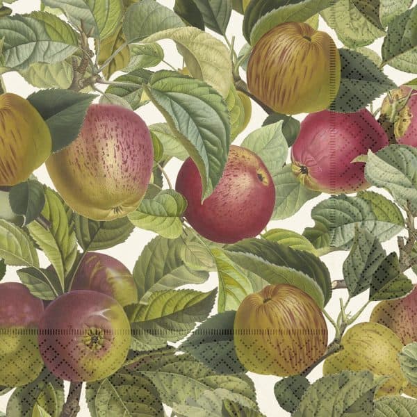 Ilustración de ramas de manzano con hojas verdes y manzanas rojas y verdes maduras sobre un fondo estampado.
