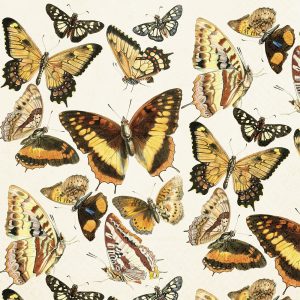 Ilustración de varias mariposas de colores sobre un fondo claro, que muestra diferentes patrones y tamaños de alas.