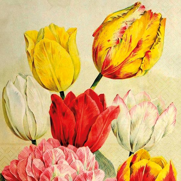 Ilustración de varios tulipanes y flores en amarillo, rojo, blanco y rosa, sobre un fondo claro.