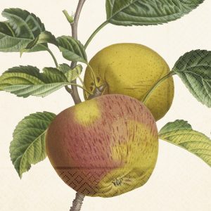 Ilustración de dos manzanas en una rama, una roja y otra amarilla, con hojas verdes en el fondo.