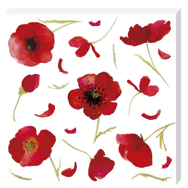 Ilustración de acuarela de amapolas rojas y pétalos dispersos sobre un fondo blanco.