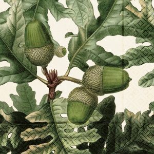 Ilustración de tres bellotas unidas a una rama de roble, rodeadas de hojas de roble verdes.