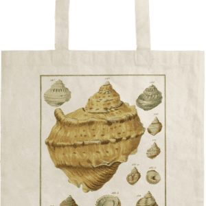 Una bolsa de mano que presenta una ilustración vintage de varias conchas marinas, con una gran concha central y varias más pequeñas que la rodean.