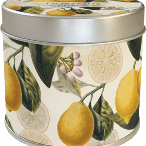 Recipiente de hojalata con ilustraciones de limones, rodajas de limón, hojas y pequeñas flores en la superficie.