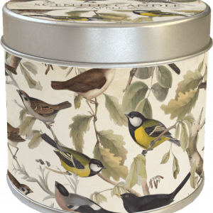 Un recipiente de hojalata cilíndrico que presenta una ilustración realista de varios pájaros cantores posados en ramas con hojas.