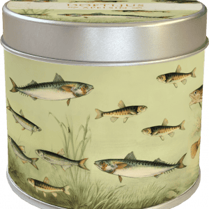 Lata redonda con ilustraciones de varios peces nadando entre plantas acuáticas sobre un fondo verde pálido.