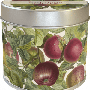 Un recipiente cilíndrico de hojalata decorado con ilustraciones de varias manzanas rojas y verdes sobre ramas con hojas.