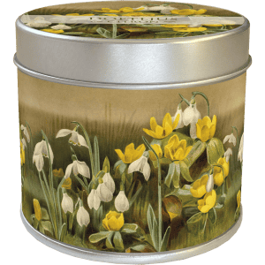 Lata redonda de metal con un diseño floral que presenta flores amarillas y blancas, incluidas campanillas de invierno, impresas en la superficie.