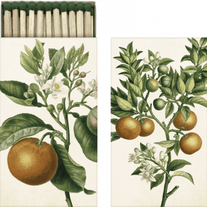 Caja de cerillas con ilustración botánica de un naranjo, mostrando frutas, flores y hojas en la tapa.