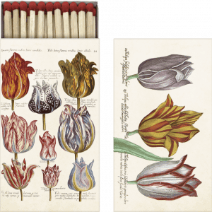 Caja de cerillas e ilustración botánica vintage de varios tulipanes con anotaciones manuscritas.