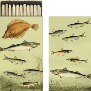 Ilustración de varias especies de peces nadando, entre ellos un pez plano y varios peces pequeños, parecidos a una sardina o una caballa. Se colocan pares de cada pez en dos paneles.