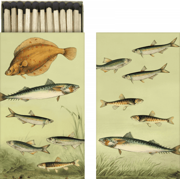 Ilustración de varias especies de peces nadando, entre ellos un pez plano y varios peces pequeños, parecidos a una sardina o una caballa. Se colocan pares de cada pez en dos paneles.