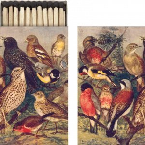 Una caja con ilustraciones de estilo vintage de varias aves, tanto en la tapa como en el exterior, que muestran diferentes especies de aves coloridas.