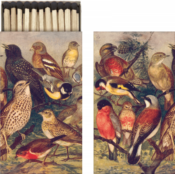 Una caja con ilustraciones de estilo vintage de varias aves, tanto en la tapa como en el exterior, que muestran diferentes especies de aves coloridas.