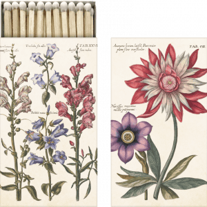 Ilustración de flores variadas con etiquetas científicas, incluidos bocas de dragón rosadas y una gran flor roja y blanca, junto a una hilera de cerillas de madera.